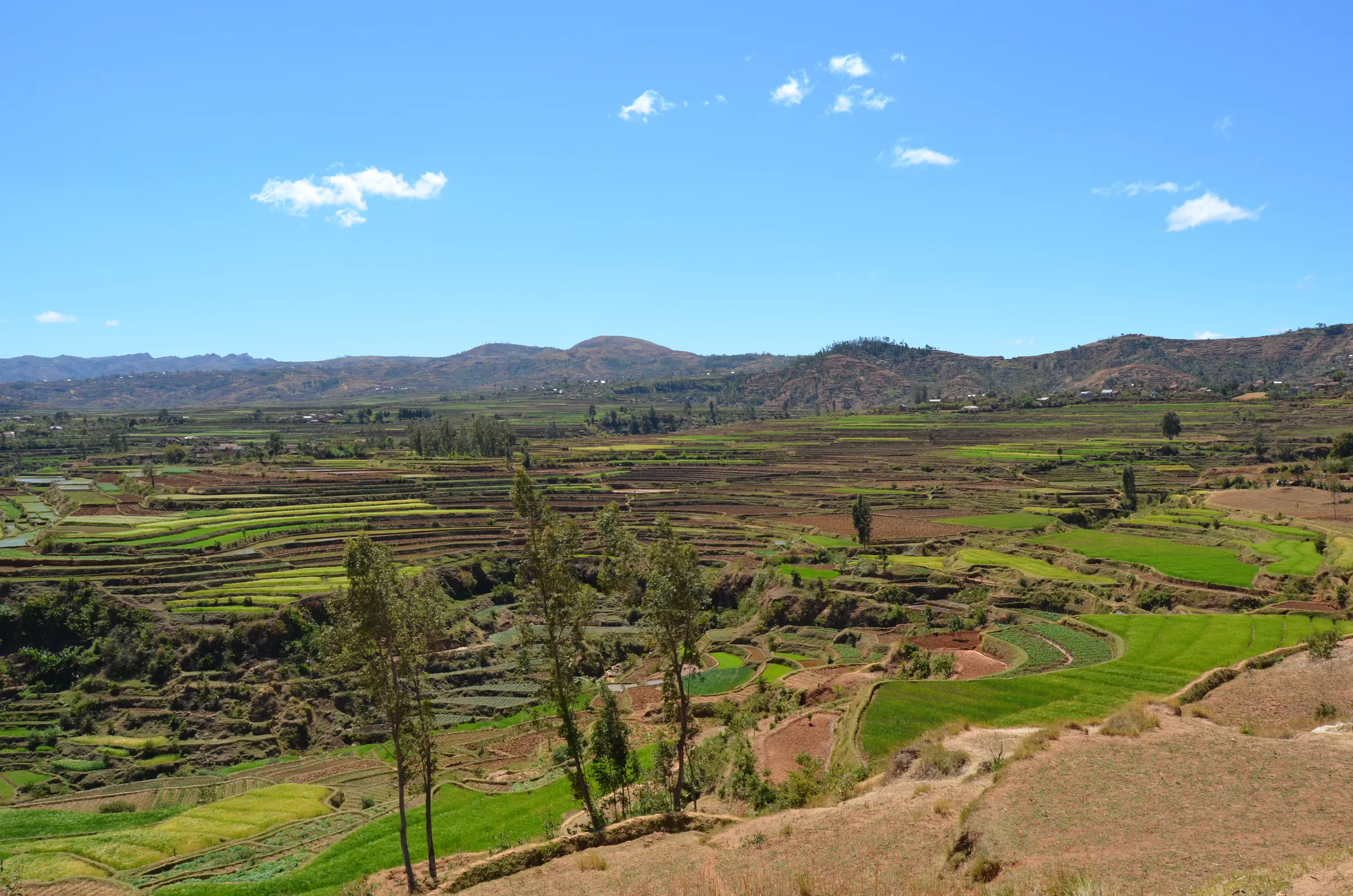 Valley of terraced rice fields near Betafo