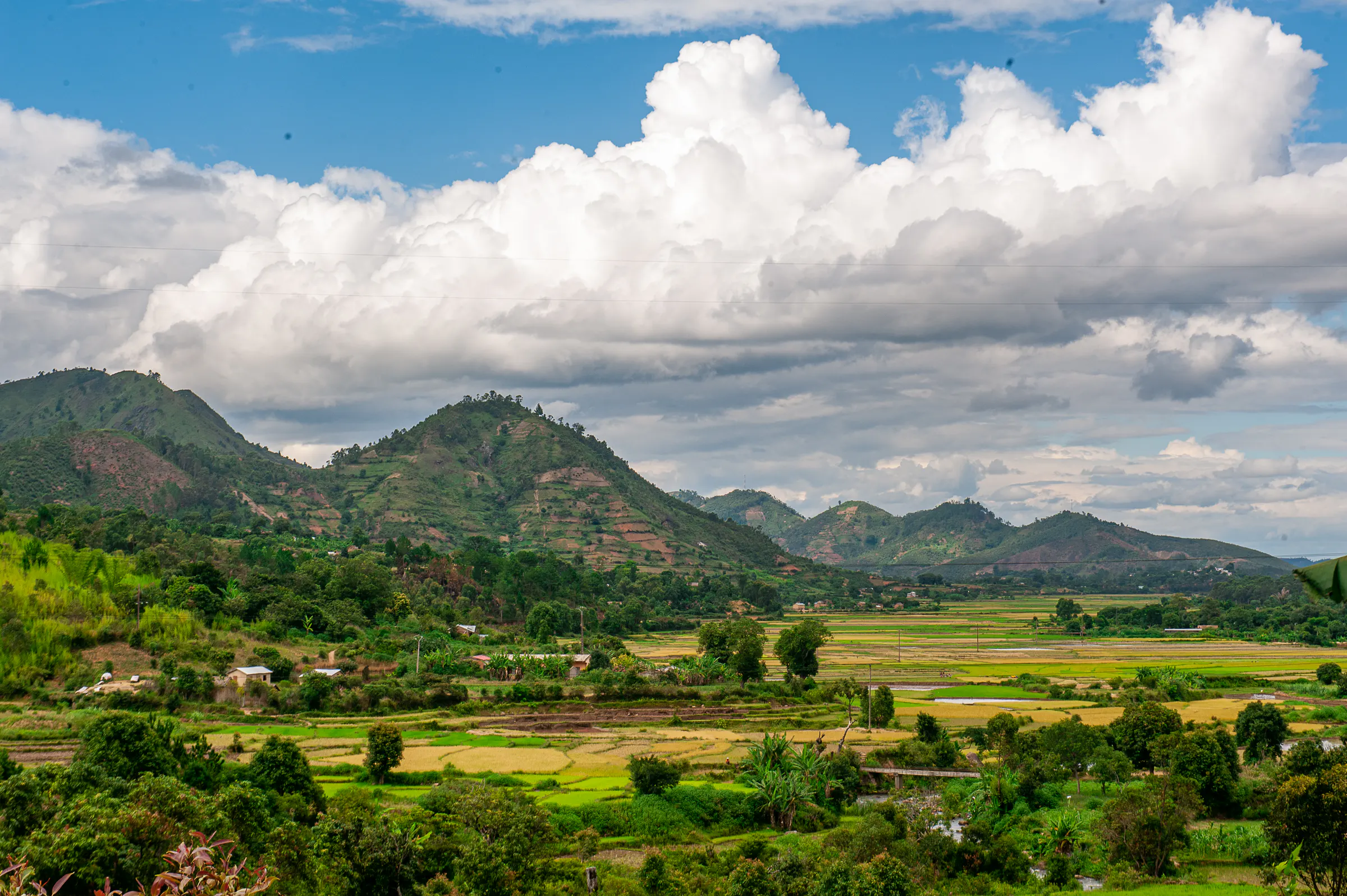 Lush green rice paddies in the Alaotra-Mangoro region beneath mountains and white clouds