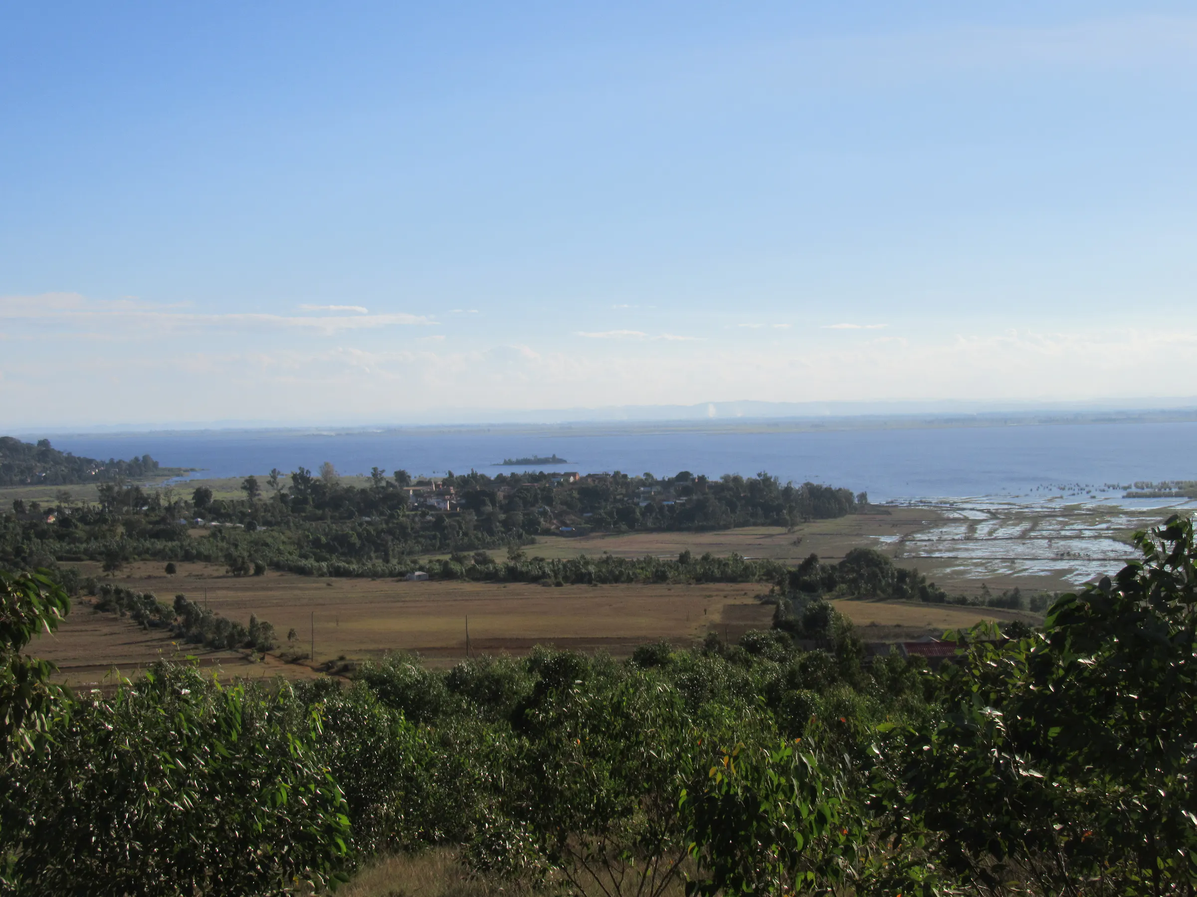View over Lake Alaotra from Imerimandroso, with rice paddies of the plain along the shore