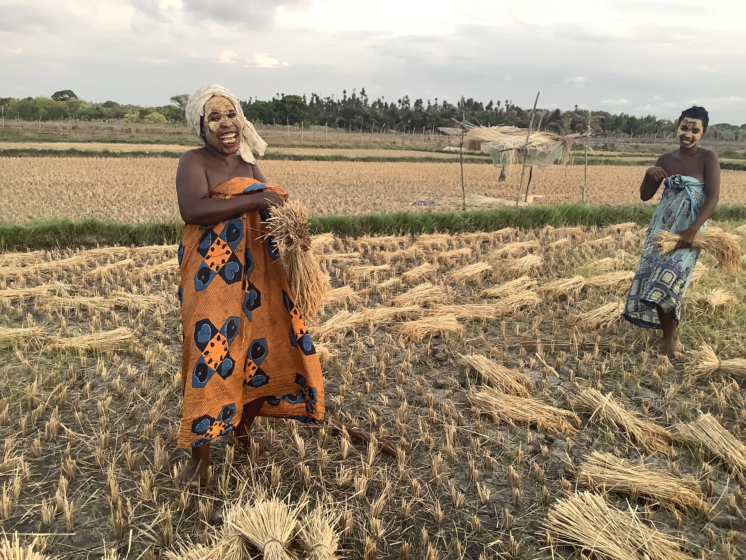 A smiling farmer wearing masonjoany face paste holds a rice sheaf after the harvest